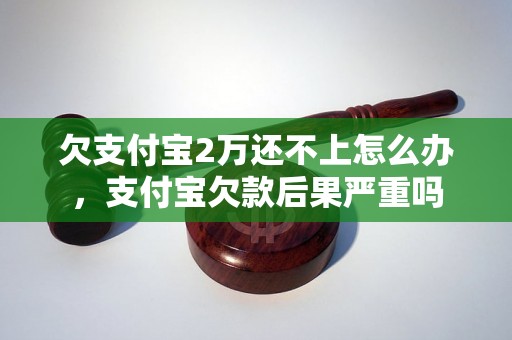 欠支付宝2万还不上怎么办，支付宝欠款后果严重吗