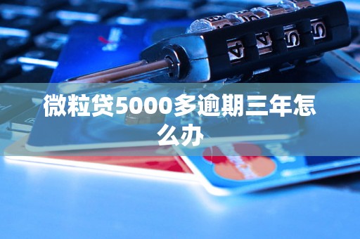 微粒贷5000多逾期三年怎么办