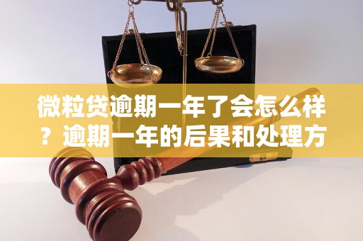 微粒贷逾期一年了会怎么样？逾期一年的后果和处理方法详解