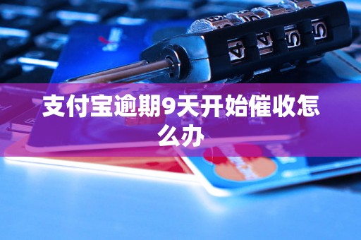 支付宝逾期9天开始催收怎么办