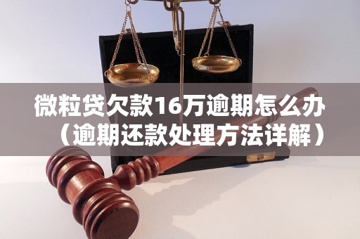 微粒贷欠款16万逾期怎么办（逾期还款处理方法详解）