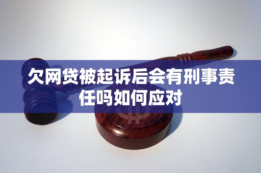 欠网贷被起诉后会有刑事责任吗如何应对