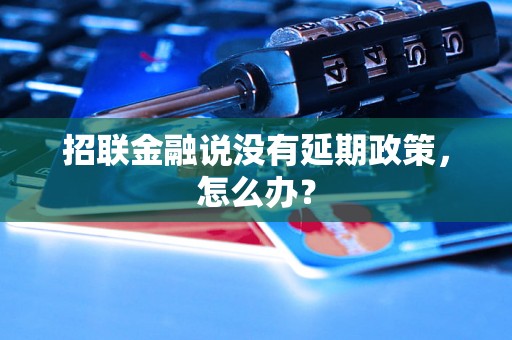 招联金融说没有延期政策，怎么办？