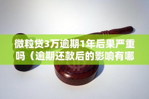 微粒贷3万逾期1年后果严重吗（逾期还款后的影响有哪些）