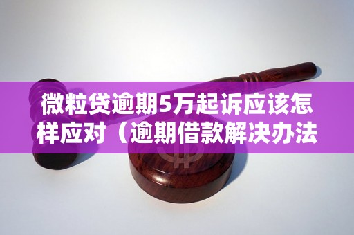 微粒贷逾期5万起诉应该怎样应对（逾期借款解决办法分享）