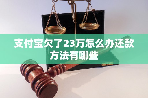 支付宝欠了23万怎么办还款方法有哪些