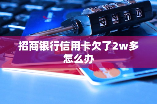 招商银行信用卡欠了2w多怎么办