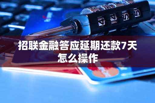 招联金融答应延期还款7天怎么操作