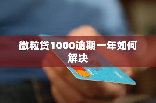 微粒贷1000逾期一年如何解决