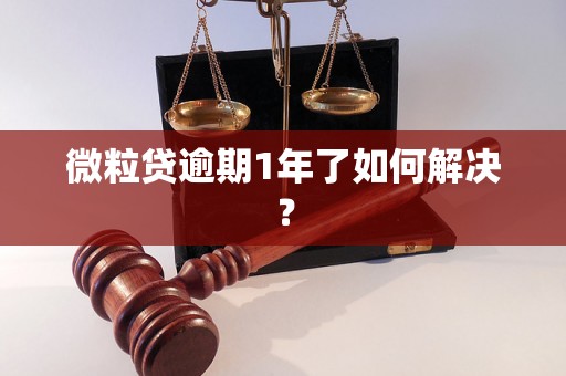 微粒贷逾期1年了如何解决？