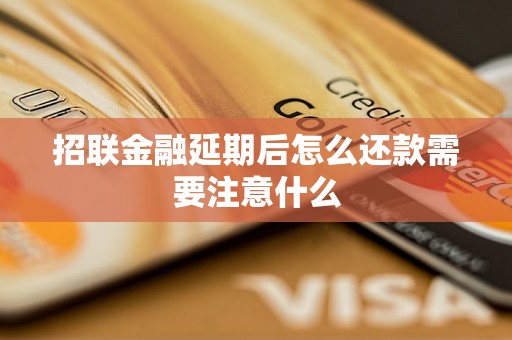 招联金融延期后怎么还款需要注意什么