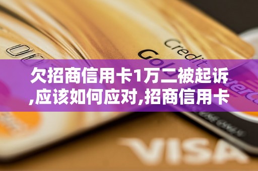 欠招商信用卡1万二被起诉,应该如何应对,招商信用卡欠款被起诉怎么办