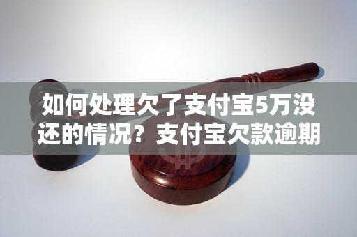 如何处理欠了支付宝5万没还的情况？支付宝欠款逾期后果严重吗？