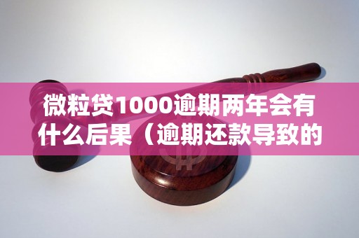 微粒贷1000逾期两年会有什么后果（逾期还款导致的影响）