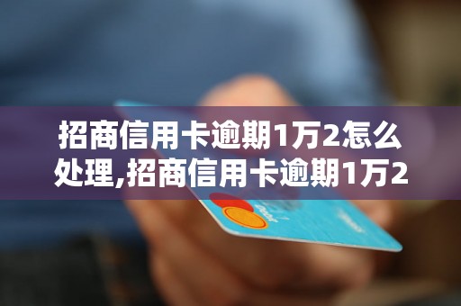 招商信用卡逾期1万2怎么处理,招商信用卡逾期1万2上门催收流程