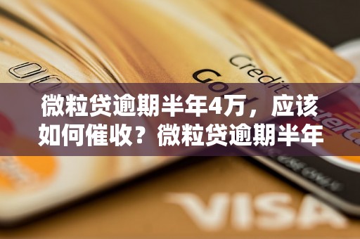 微粒贷逾期半年4万，应该如何催收？微粒贷逾期半年4万，如何解决？