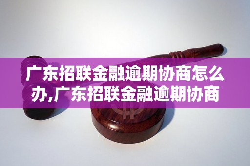 广东招联金融逾期协商怎么办,广东招联金融逾期协商流程分析