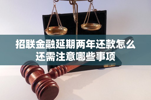 招联金融延期两年还款怎么还需注意哪些事项