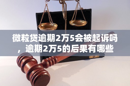 微粒贷逾期2万5会被起诉吗，逾期2万5的后果有哪些