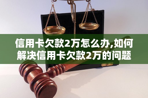 信用卡欠款2万怎么办,如何解决信用卡欠款2万的问题