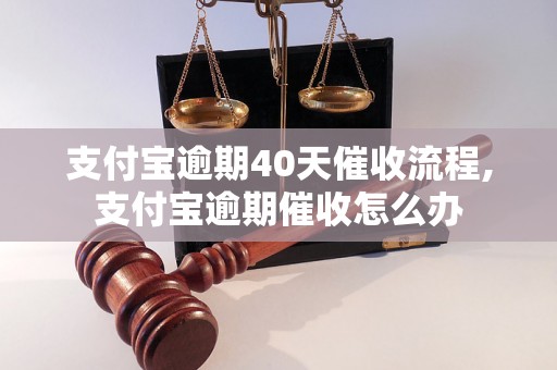 支付宝逾期40天催收流程,支付宝逾期催收怎么办