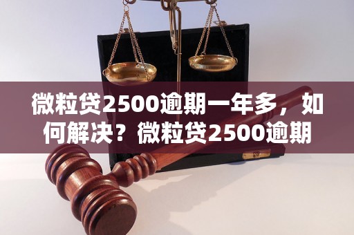 微粒贷2500逾期一年多，如何解决？微粒贷2500逾期一年多应该怎么办？