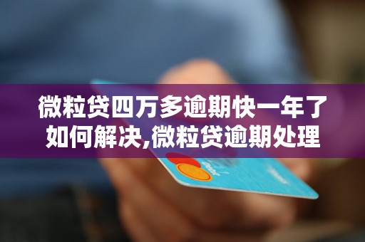 微粒贷四万多逾期快一年了如何解决,微粒贷逾期处理方法和注意事项