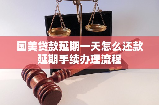 国美贷款延期一天怎么还款延期手续办理流程