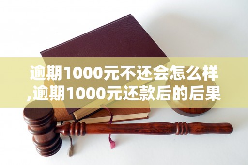 逾期1000元不还会怎么样,逾期1000元还款后的后果分析