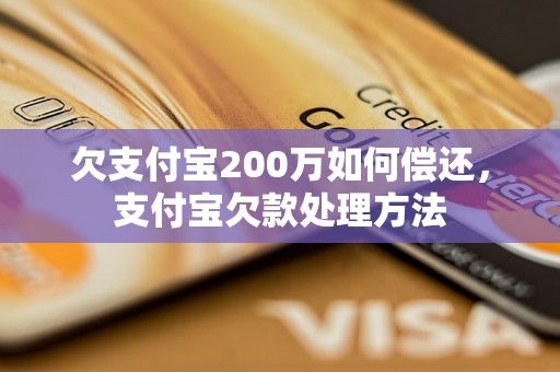 欠支付宝200万如何偿还，支付宝欠款处理方法