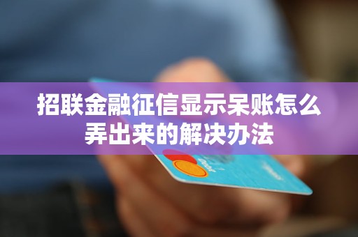 招联金融征信显示呆账怎么弄出来的解决办法