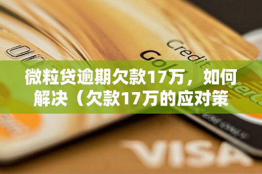 微粒贷逾期欠款17万，如何解决（欠款17万的应对策略）