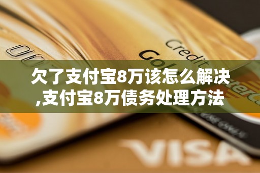 欠了支付宝8万该怎么解决,支付宝8万债务处理方法