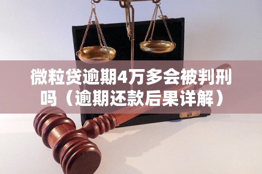 微粒贷逾期4万多会被判刑吗（逾期还款后果详解）