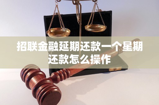 招联金融延期还款一个星期还款怎么操作