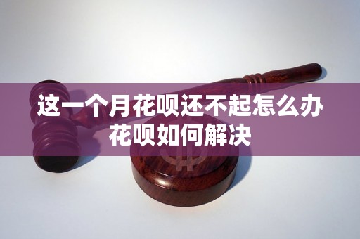 这一个月花呗还不起怎么办花呗如何解决