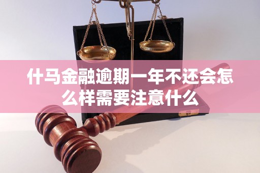 什马金融逾期一年不还会怎么样需要注意什么