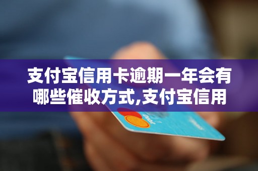 支付宝信用卡逾期一年会有哪些催收方式,支付宝信用卡逾期一年如何处理