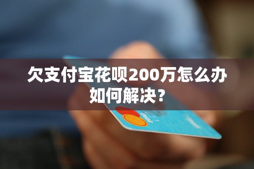 欠支付宝花呗200万怎么办如何解决？