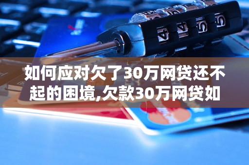 如何应对欠了30万网贷还不起的困境,欠款30万网贷如何解决