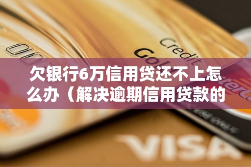 欠银行6万信用贷还不上怎么办（解决逾期信用贷款的有效方法）