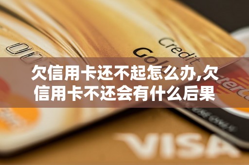 欠信用卡还不起怎么办,欠信用卡不还会有什么后果