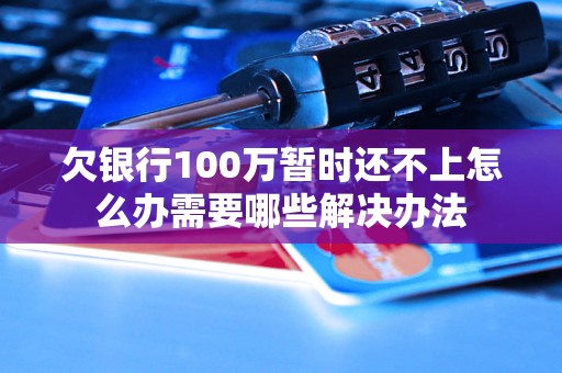 欠银行100万暂时还不上怎么办需要哪些解决办法