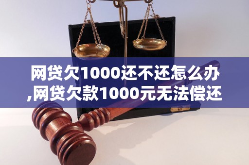 网贷欠1000还不还怎么办,网贷欠款1000元无法偿还怎么处理