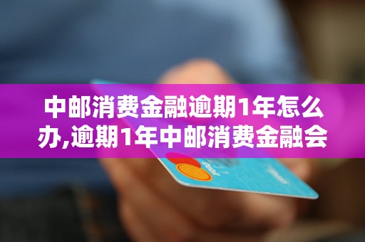 中邮消费金融逾期1年怎么办,逾期1年中邮消费金融会有什么后果