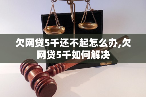 欠网贷5千还不起怎么办,欠网贷5千如何解决