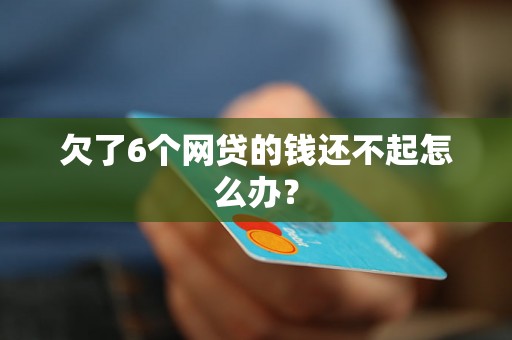 欠了6个网贷的钱还不起怎么办？