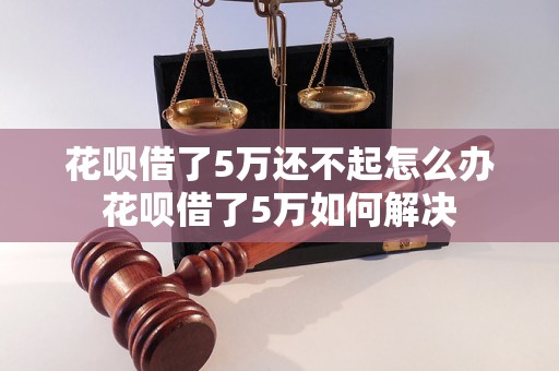 花呗借了5万还不起怎么办花呗借了5万如何解决