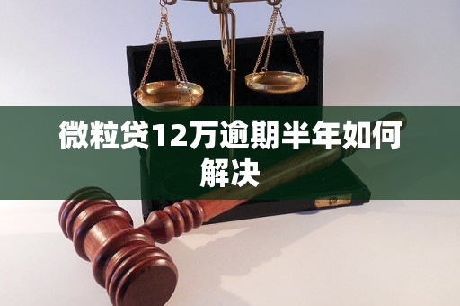 微粒贷12万逾期半年如何解决