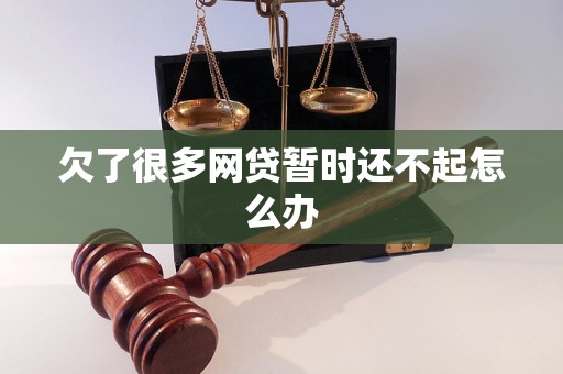 欠了很多网贷暂时还不起怎么办